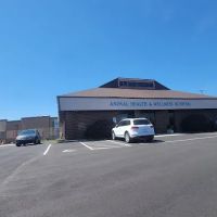Animal Health and Wellness Hospital ico