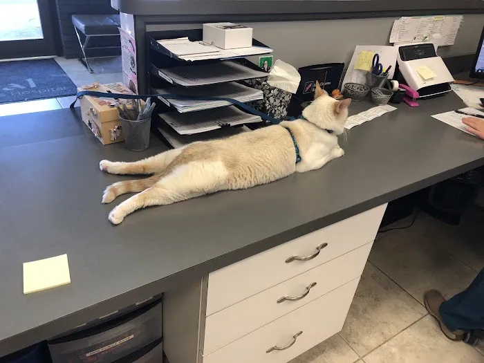 Animal Health and Wellness Hospital Picture 2