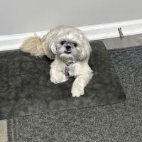 Banfield Pet Hospital ico