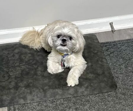 Banfield Pet Hospital