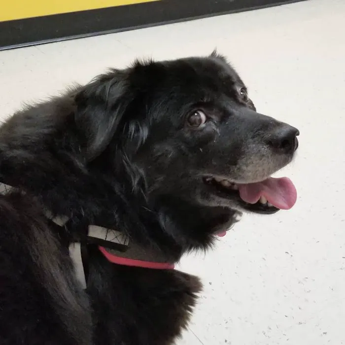 Banfield Pet Hospital Picture 4