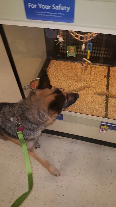 Banfield Pet Hospital Picture 5