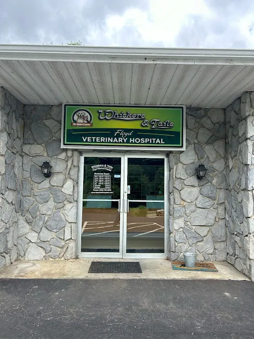 Whiskers & Tails Floyd Vet Hospital Picture 4