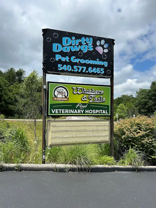 Whiskers & Tails Floyd Vet Hospital Picture 5