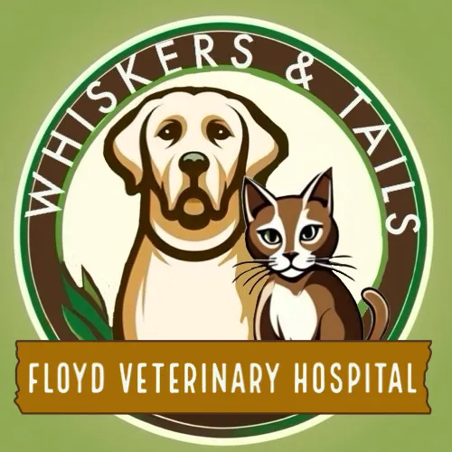 Whiskers & Tails Floyd Vet Hospital Picture 9