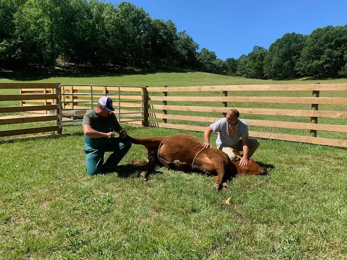 New River Veterinary Services Picture 7