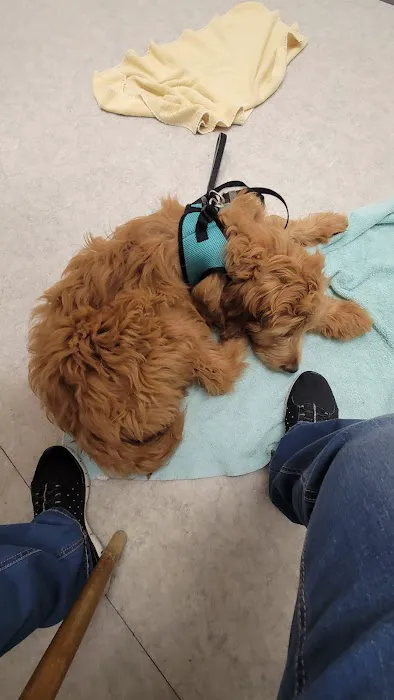 Riner Animal Clinic Picture 3