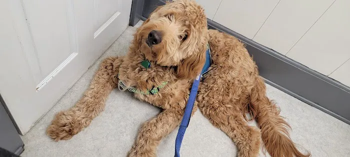 Riner Animal Clinic Picture 1
