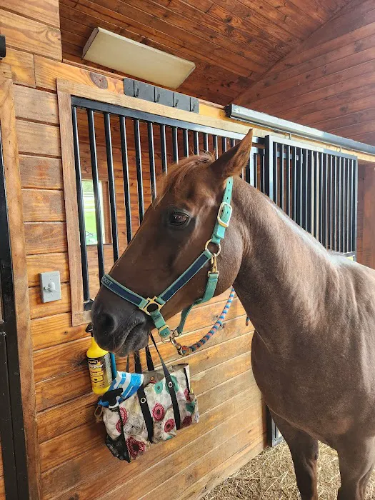 Appalachian Veterinary Services, Inc. Picture 5