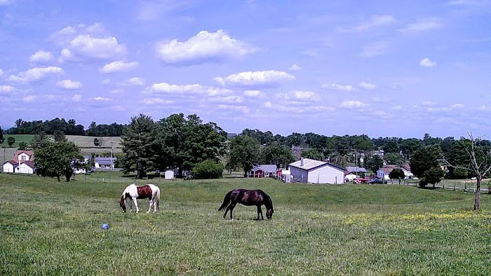 Appalachian Veterinary Services, Inc. Picture 7