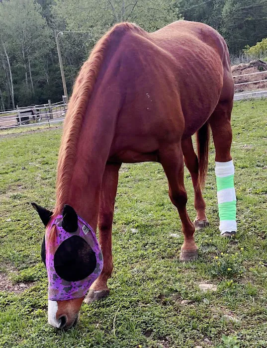 Appalachian Veterinary Services, Inc. Picture 9