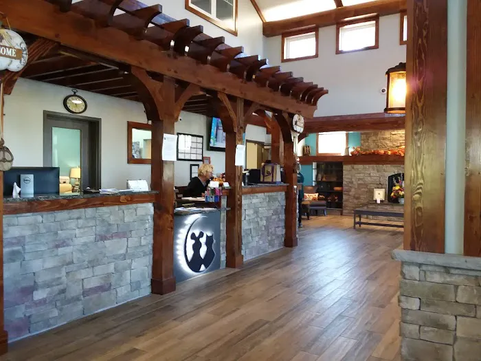 Town & Country Veterinary Clinic Picture 4
