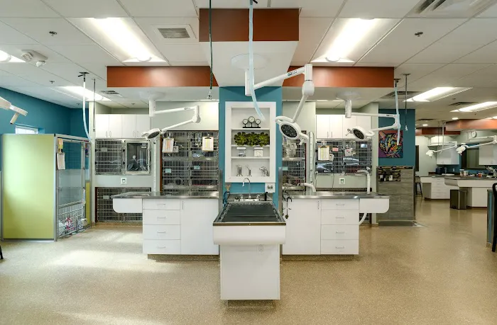 Town & Country Veterinary Clinic Picture 5