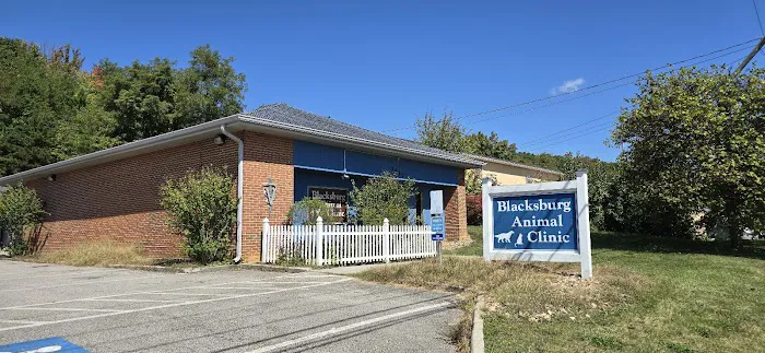 Blacksburg Animal Clinic Picture 2