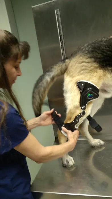 Riverside Veterinary Clinic Picture 4