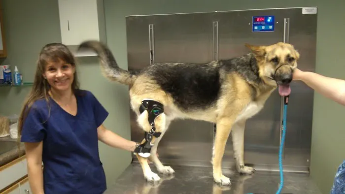 Riverside Veterinary Clinic Picture 7