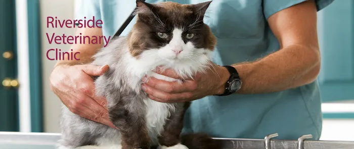 Riverside Veterinary Clinic Picture 10