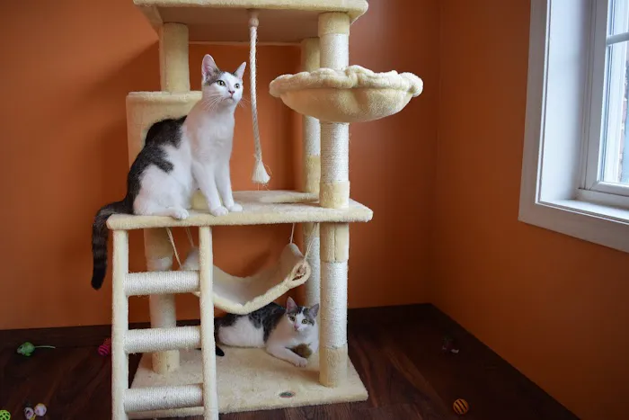 Riverside Veterinary Clinic Picture 3