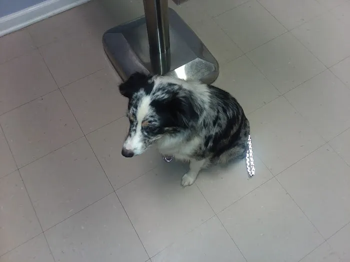 Riverside Veterinary Clinic: Potter Cliff DVM Picture 4