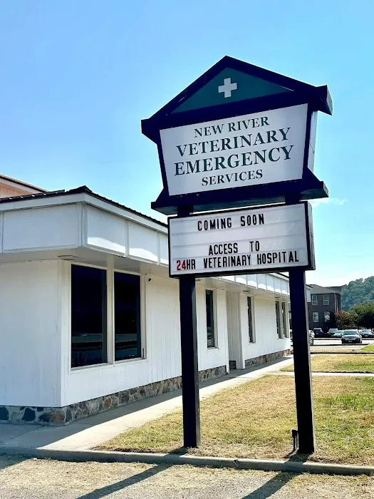 New River Veterinary Emergency Services Picture 1