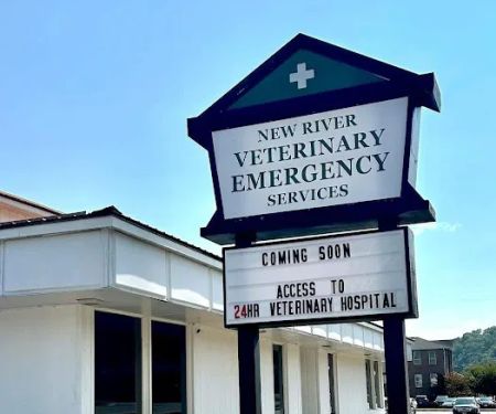 New River Veterinary Emergency Services