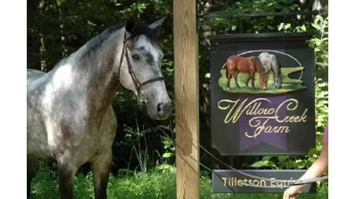 Tillotson Equine Internal Medicine Mobile Services Picture 1