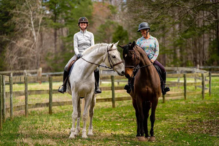 Tillotson Equine Internal Medicine Mobile Services Picture 10