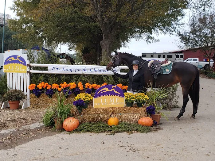 Tillotson Equine Internal Medicine Mobile Services Picture 9