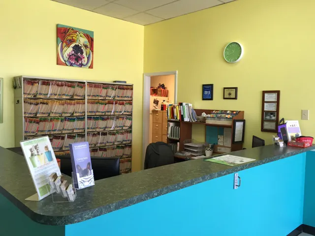 Animal Medical Clinic of South Boston Picture 4