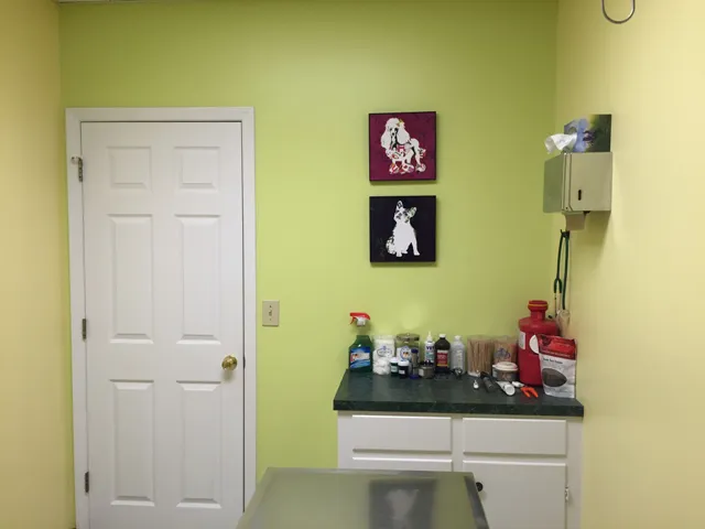 Animal Medical Clinic of South Boston Picture 10
