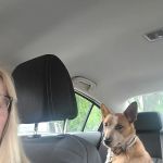 Halifax County Veterinary Center