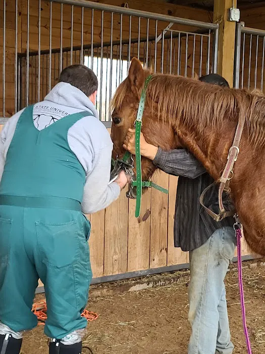 Halifax County Veterinary Center Picture 5