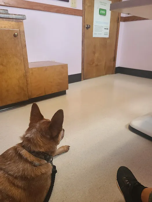 Halifax County Veterinary Center Picture 2
