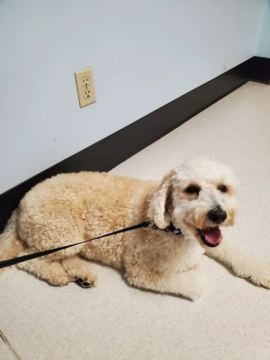 Halifax County Veterinary Center Picture 10