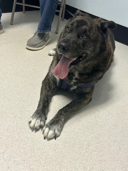 Halifax County Veterinary Center Picture 8