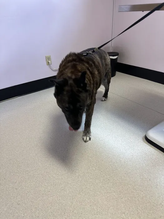 Halifax County Veterinary Center Picture 9