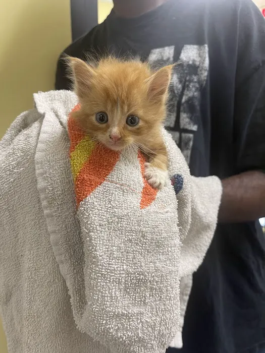 Roxboro Animal Hospital Picture 9