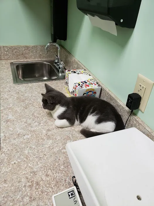 Roxboro Animal Hospital Picture 7