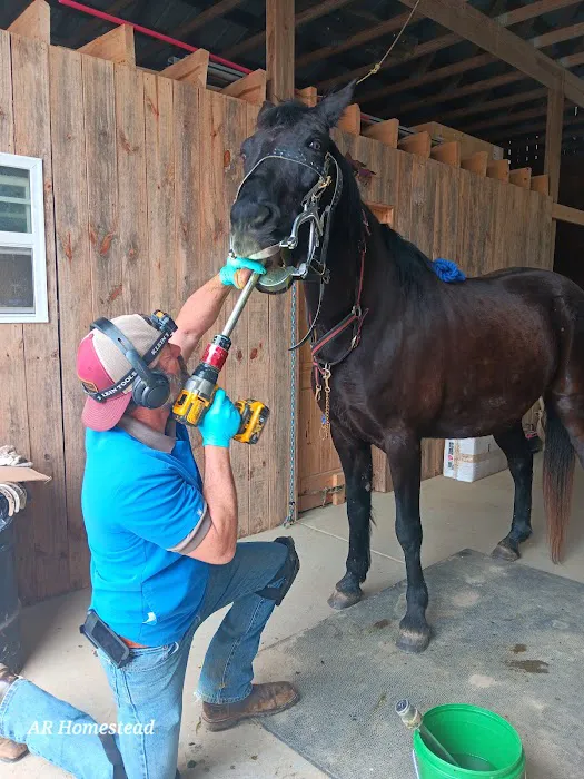 Iron Will Vet Picture 1
