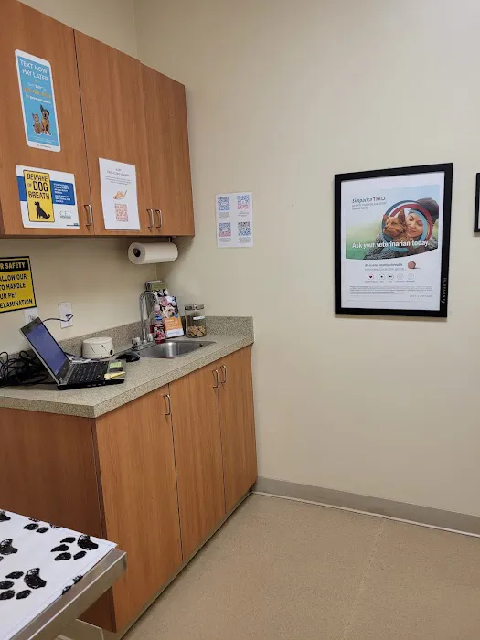 Creekside Animal Clinic, PA Picture 4