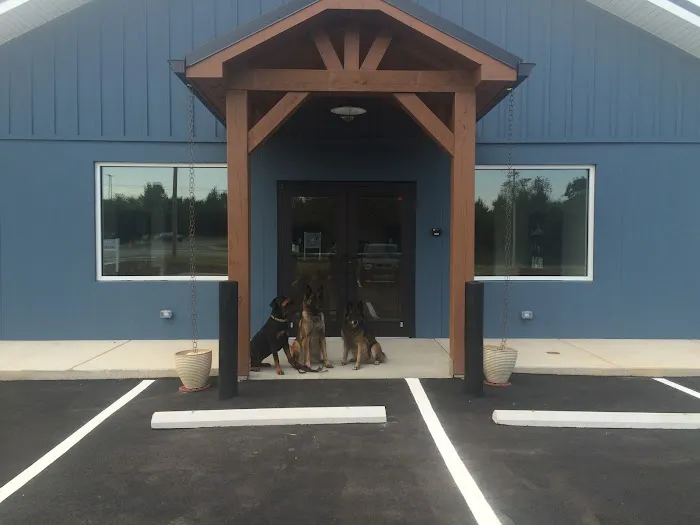 Southern Animal Hospital Picture 10