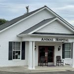 North Churton Animal Hospital