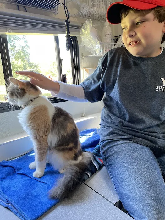 Alamance Countryside Mobile Vet Services Picture 7
