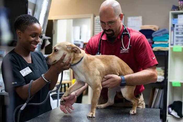 Animal Hospital of Mebane Picture 3