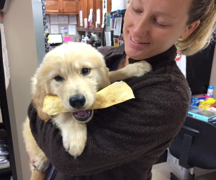 Animal Hospital of Mebane Picture 10