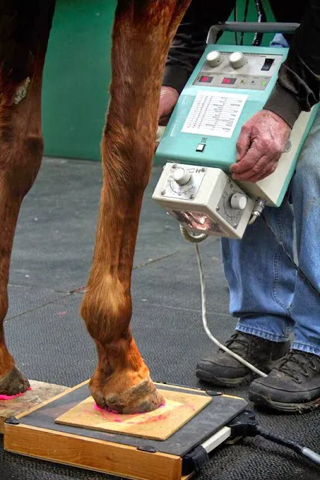 Flat River Veterinary Hospital Picture 1