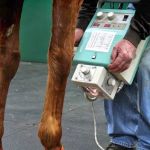 Flat River Veterinary Hospital