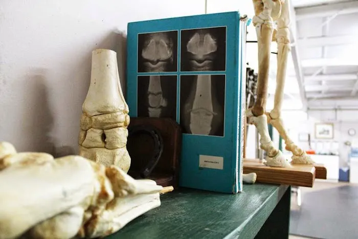 Flat River Veterinary Hospital Picture 4