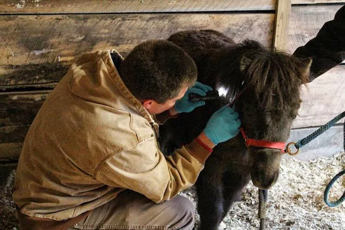 Flat River Veterinary Hospital Picture 5