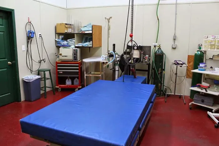 Flat River Veterinary Hospital Picture 3
